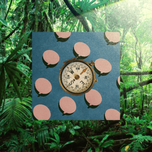 compass over thought bubbles in jungle