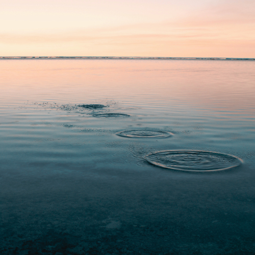 rock skipping on a lake, representing spreading a big idea